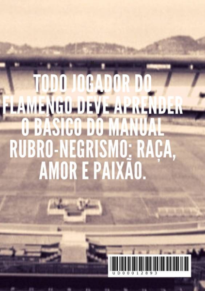 Historial do Flamengo Autor: Alessandro Lopes Silva